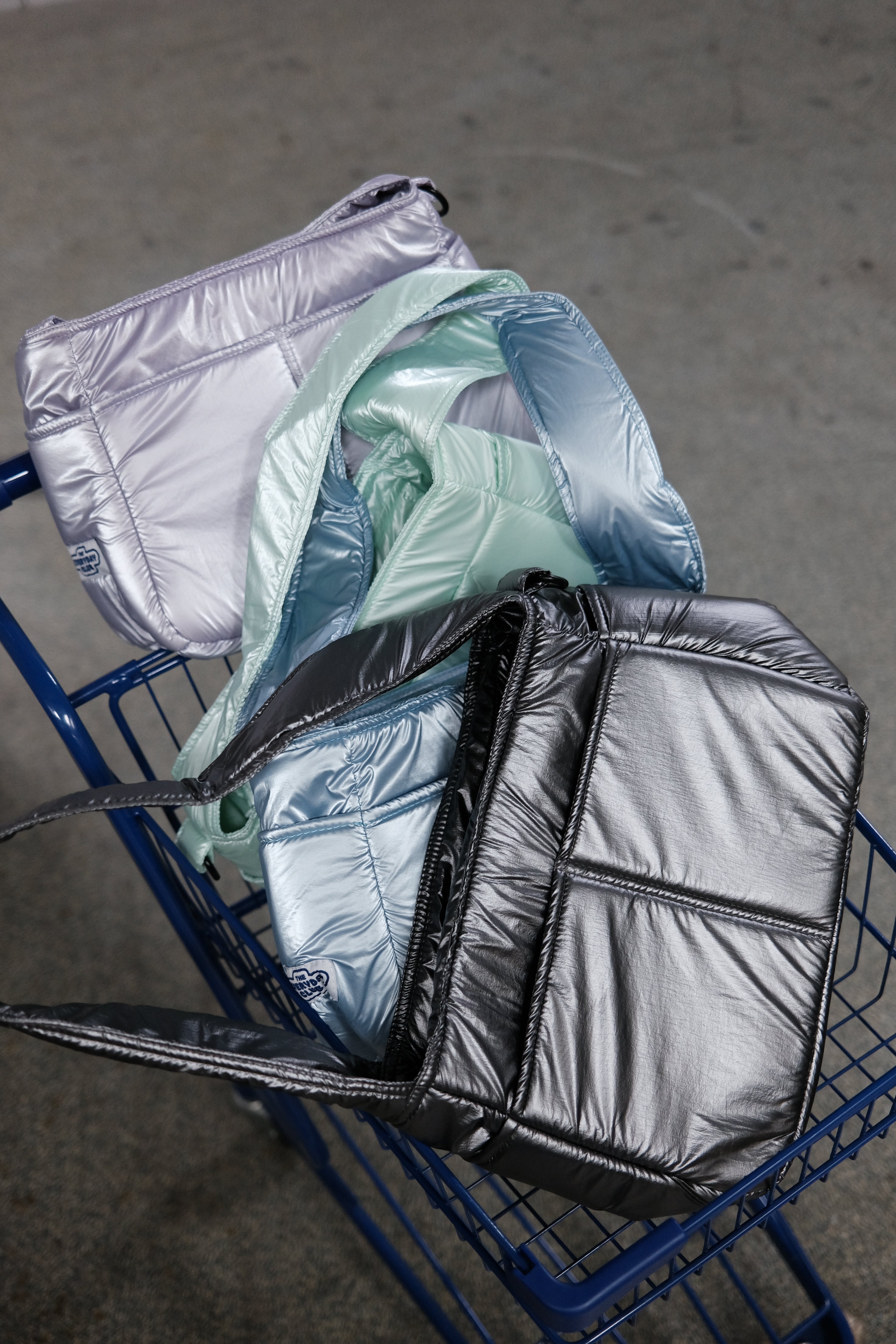 Regular Hobo Bag (Metallic Collection)