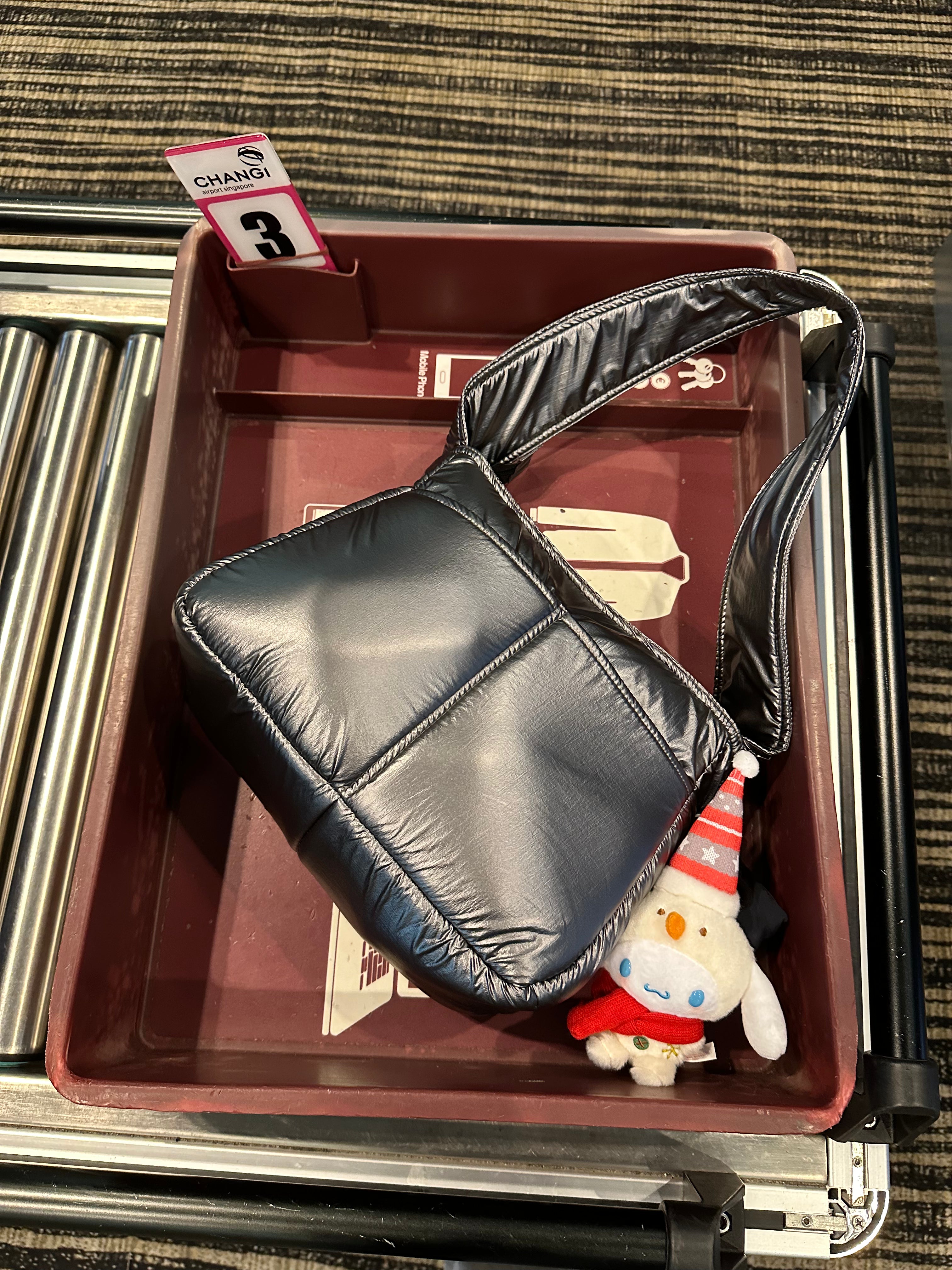 Regular Hobo Bag (Metallic Collection)