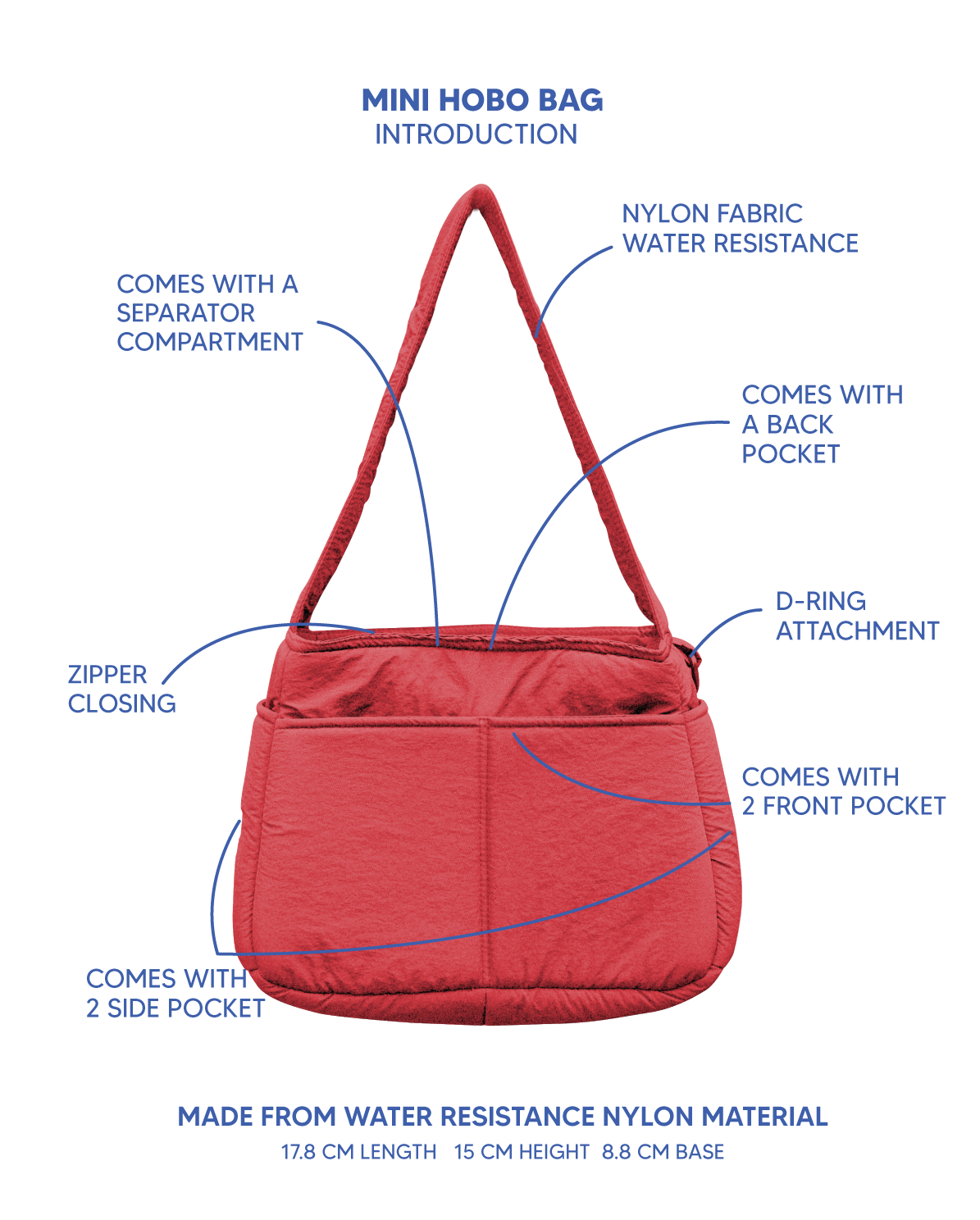Mini Hobo Bag