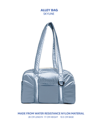 Metallic Alley Bag (Regular)