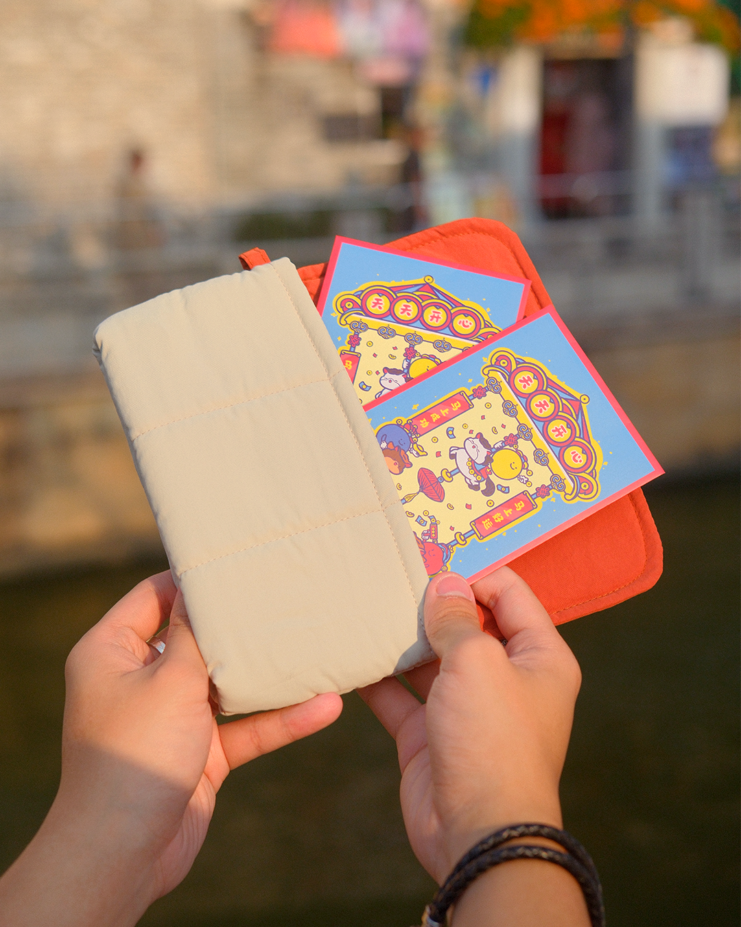 Long Puffy Pouch - Color Block Edition